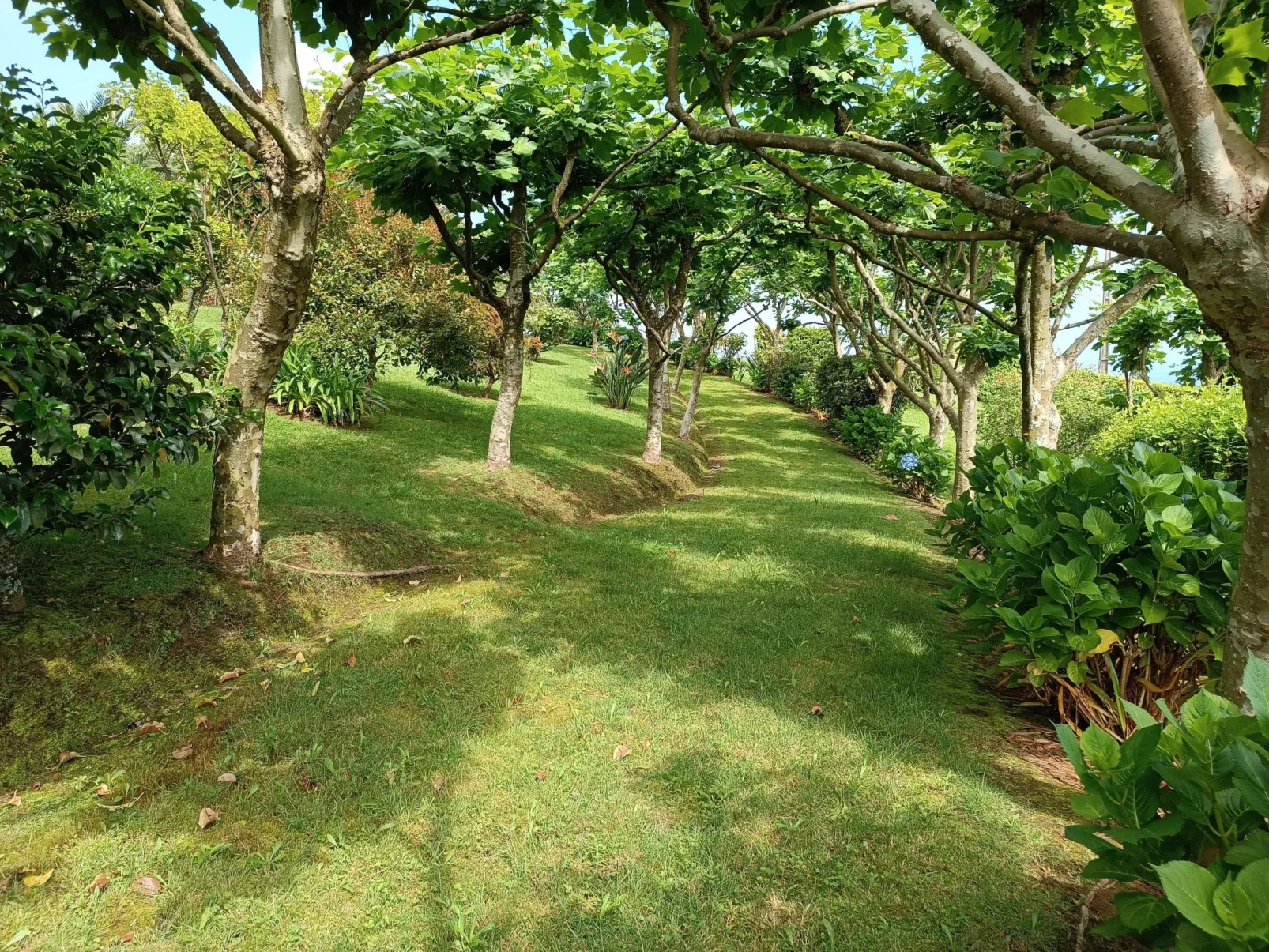 Casa da Fonte - Historisches Steinhaus auf den Azoren-Image-tags.info