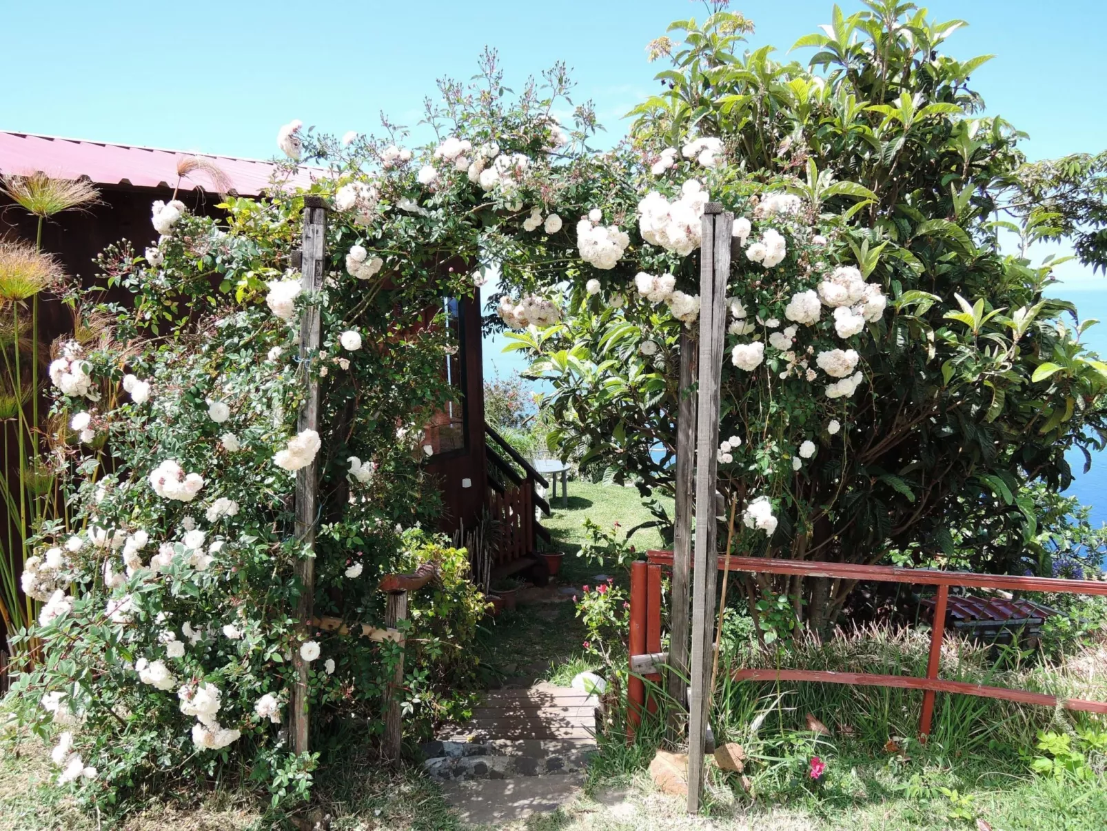 In Canhas mit Schönem Garten-Image-tags.info