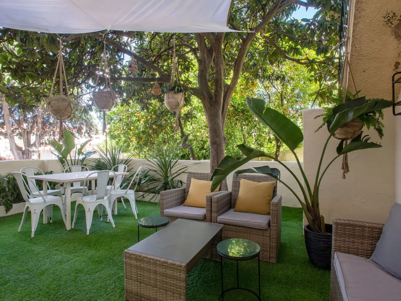 Baum Liverpooler Terrasse-Image-tags.info