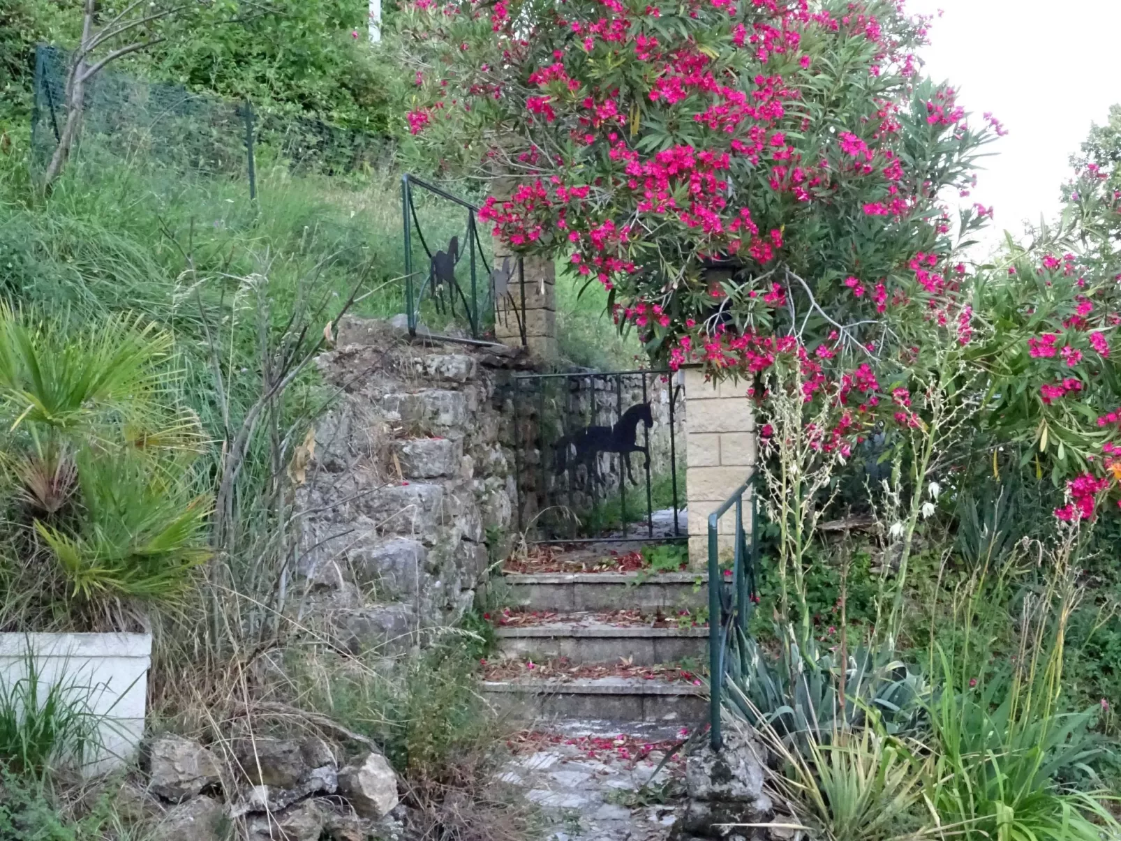 Klimatisiertes Ferienhaus mit Pool-Buiten