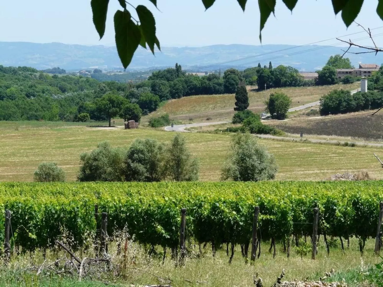 'Santinovo olivo' mit Pool-Buiten