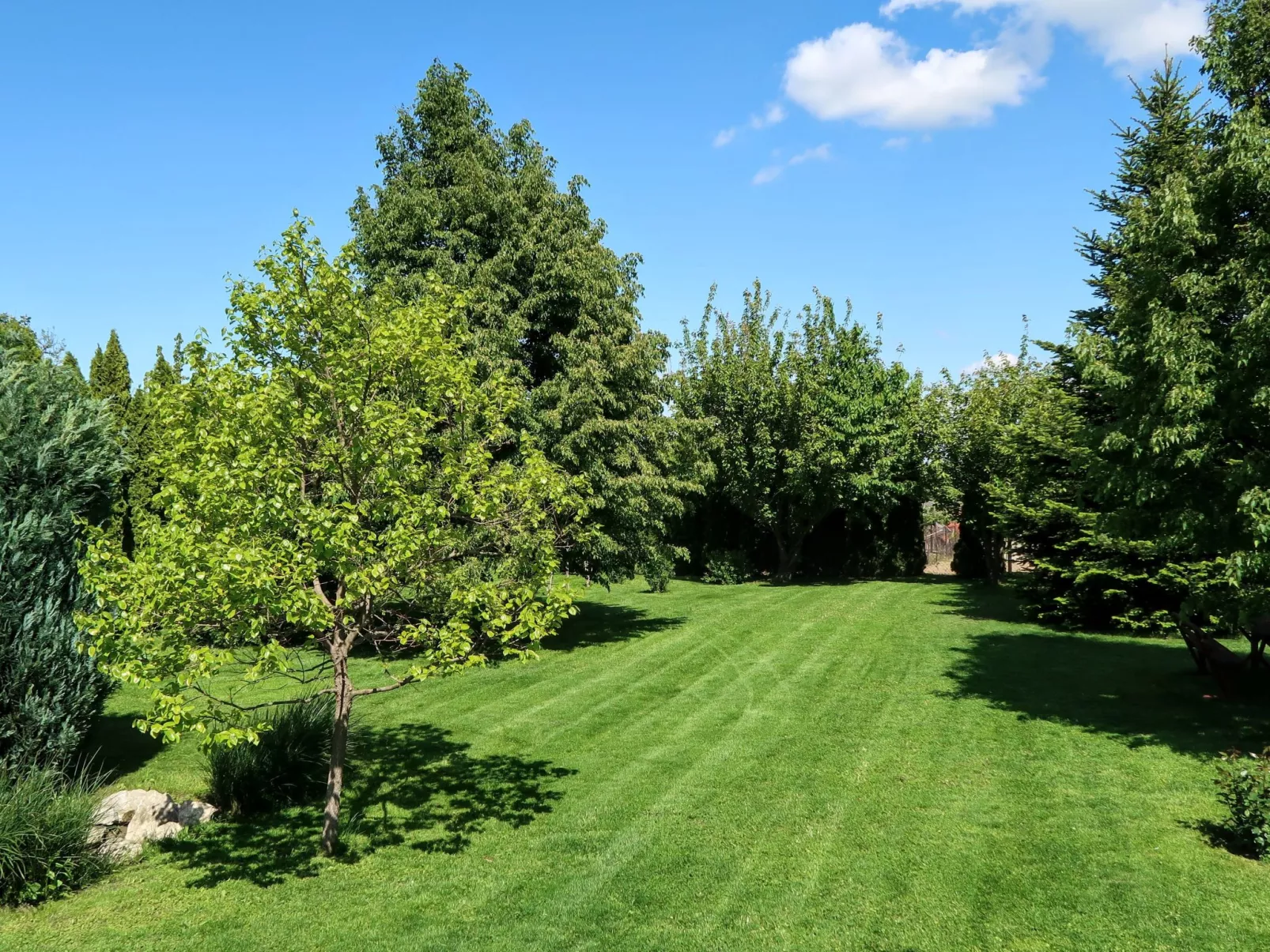 Stimmungsvolle Ferienwohnung mit großem Garten-Buiten