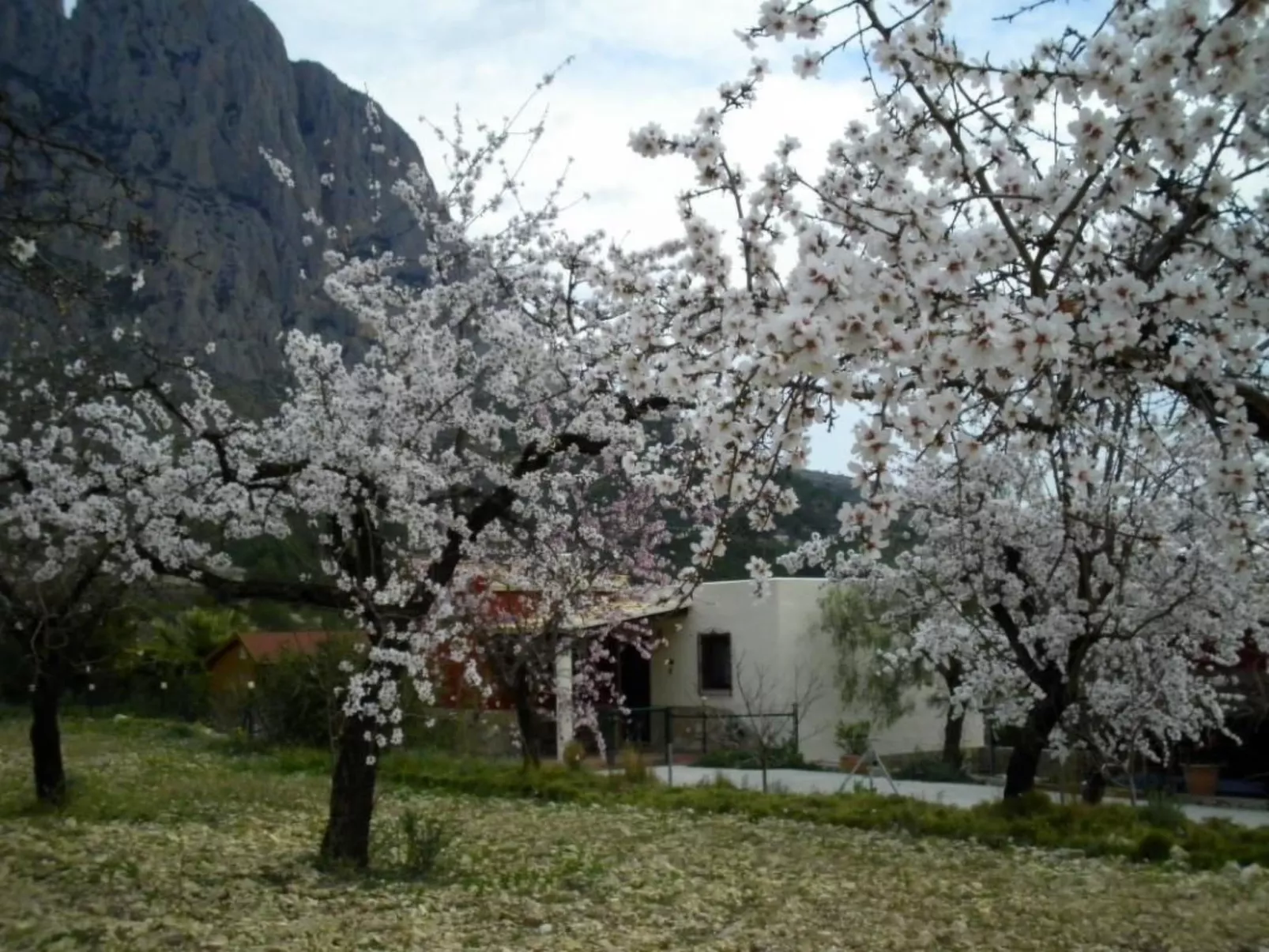 Kleines Landhaus in schöner Umgebung-Image-tags.info