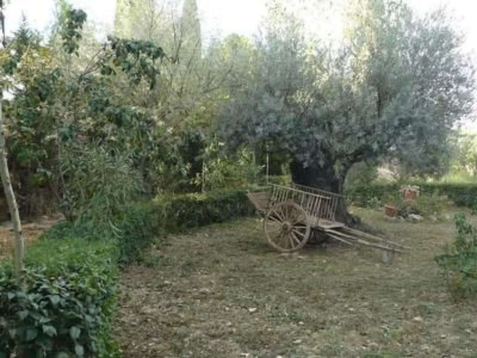 Torre de Campos in Ainzón - Hauptgebäude-Buiten