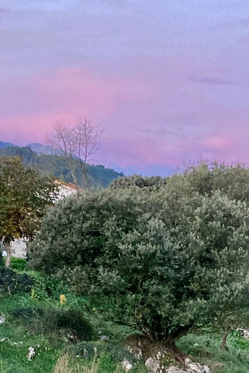 Freistehendes Ferienhaus Maria La Franca-Image-tags.info