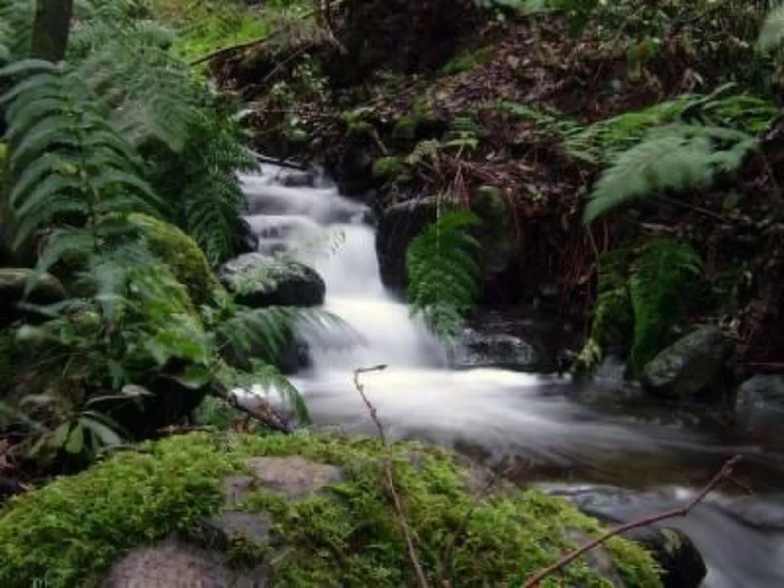 Casa Rural El Serrillal 1 Hermigua La Gomera-Buiten