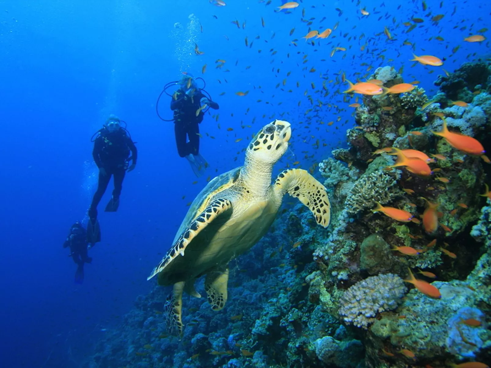 Historische Strandvilla-Buiten