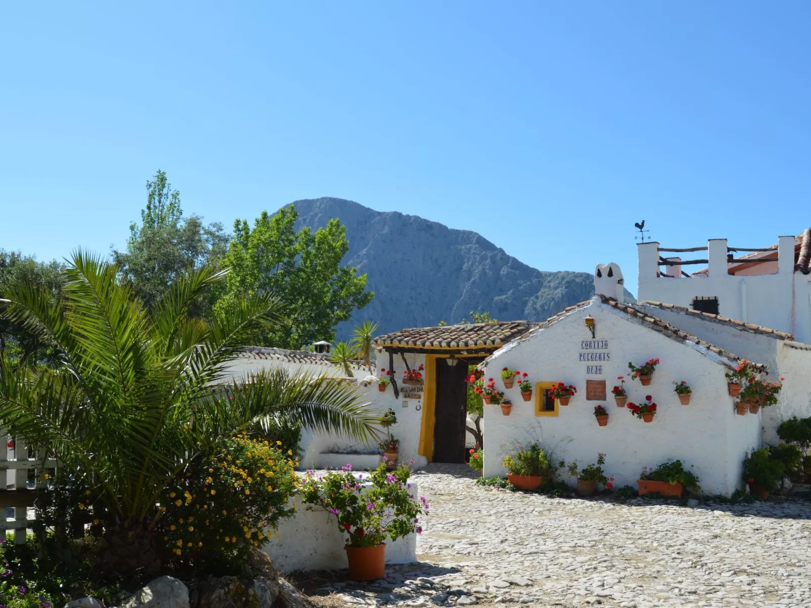 Cortijo Pulgarin Bajo - Buiten