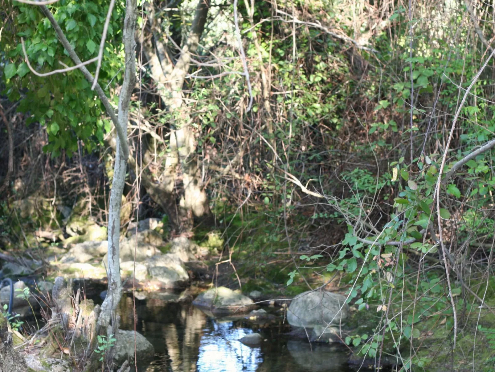 Gemütliches Landhaus Betania in Grazalema-Binnen