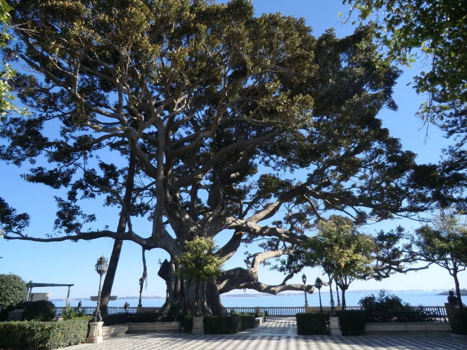 Große Wohnung in Cádiz, Kathedrale in der Nähe-Image-tags.info