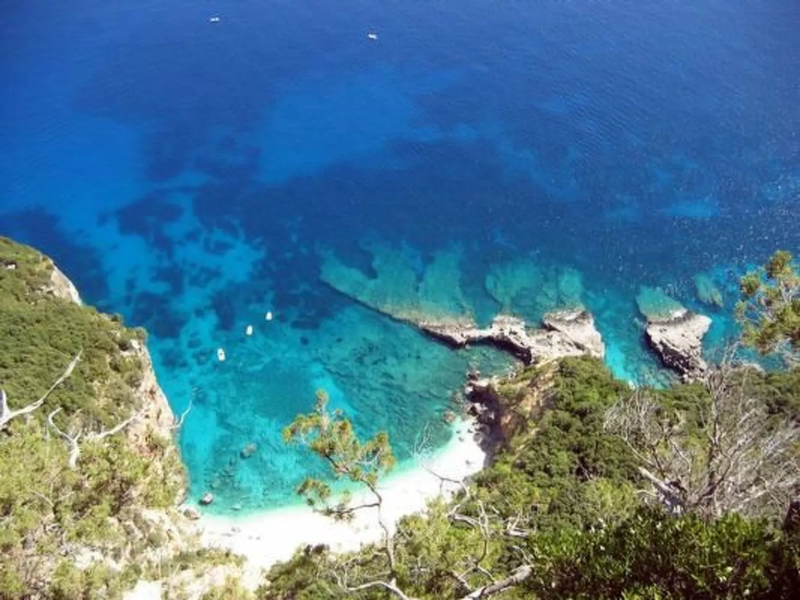 Haustierfreundliches Apartment, mit Meerblick-Image-tags.info