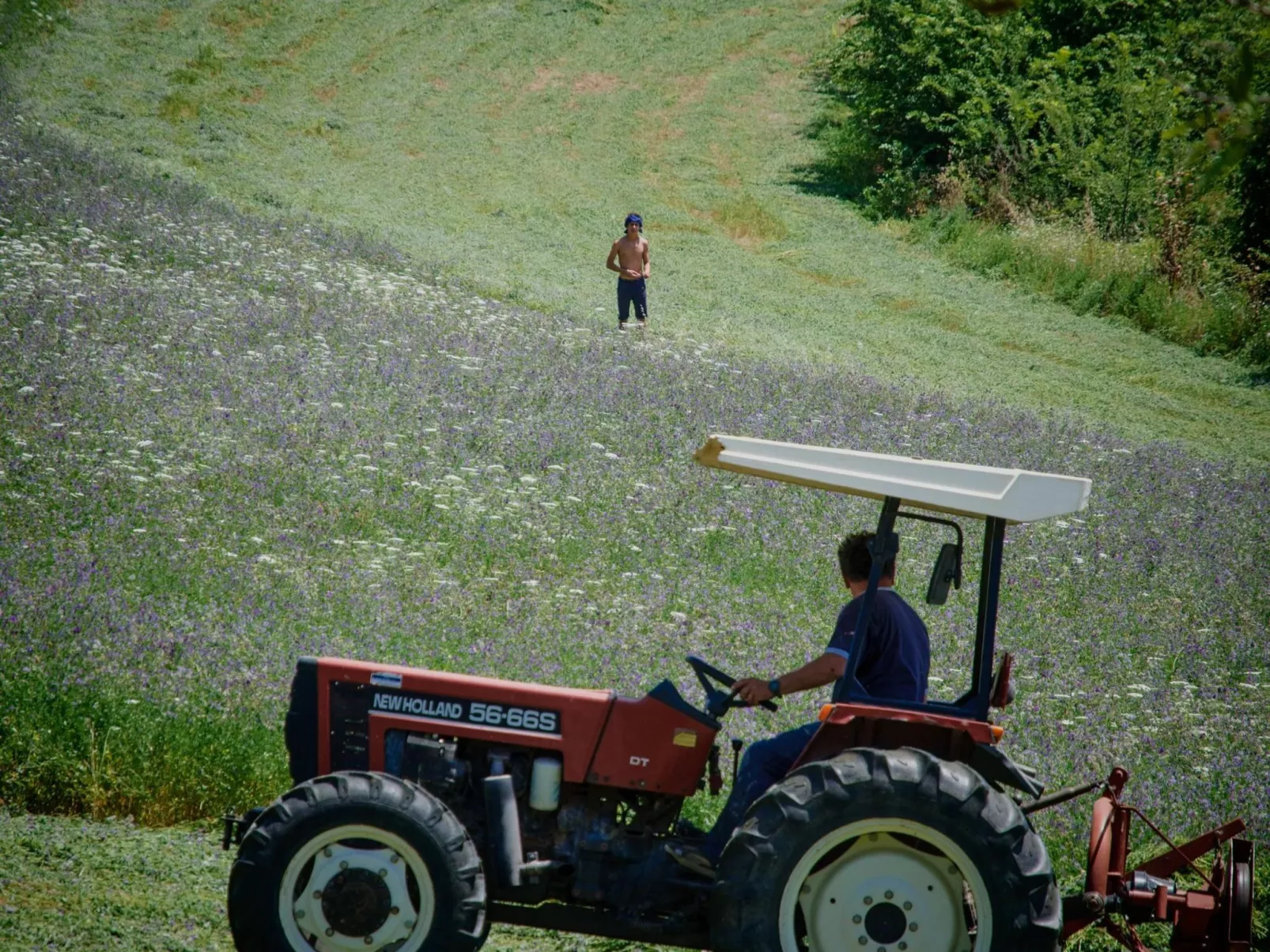 Das Walnusshaus-Binnen