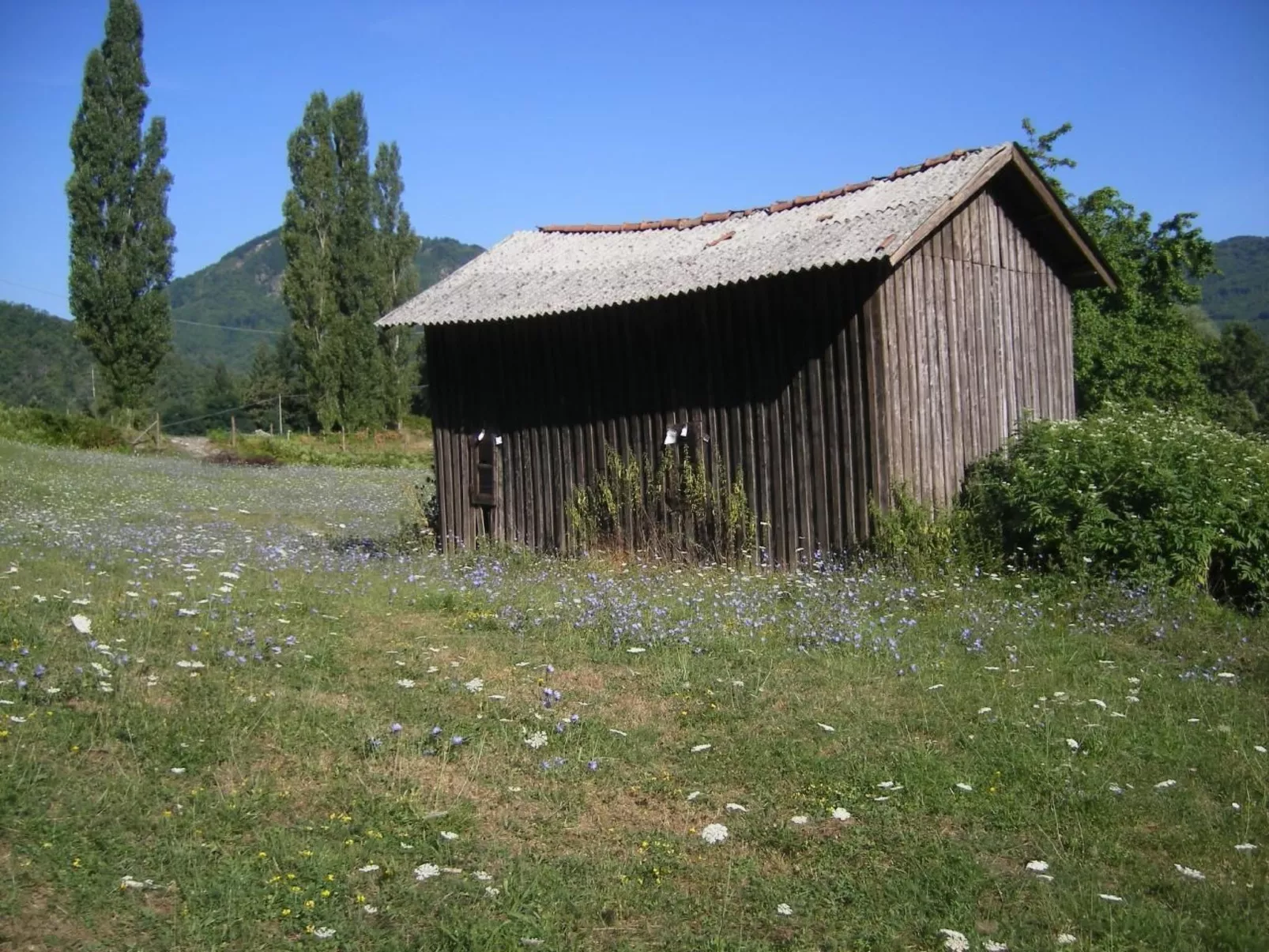 CasaMasa' Wohnung mit Bergblick-Buiten