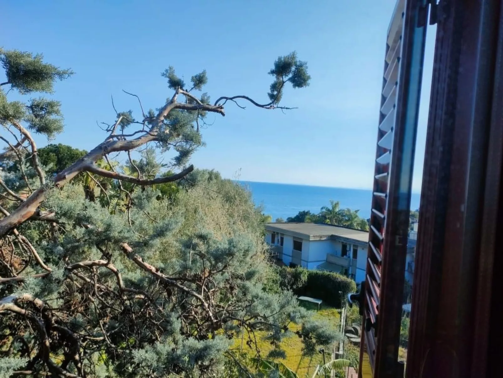 'Louise' in Strandnähe-Image-tags.info