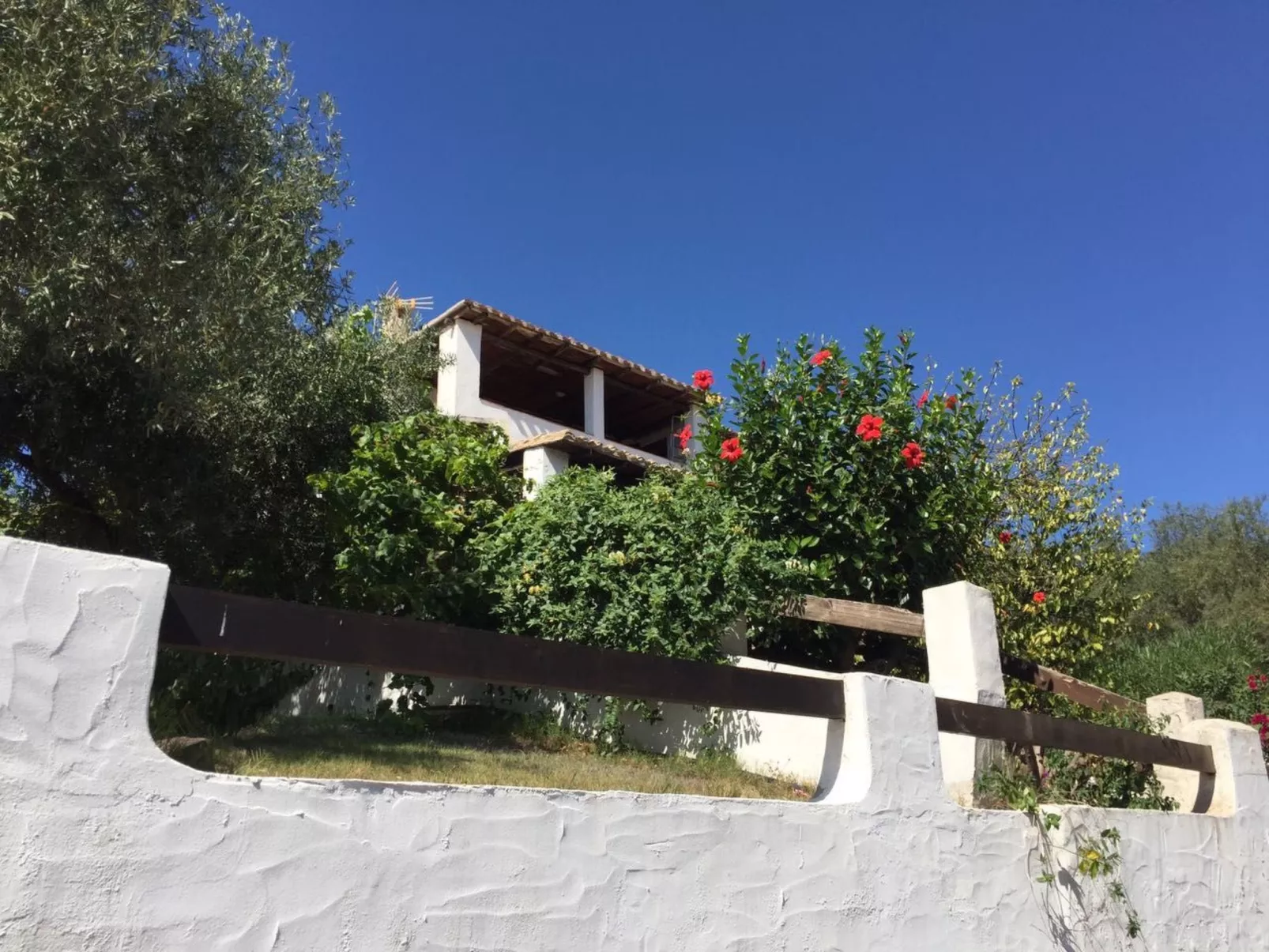 Arcaidu Apartment mit bezaubernder Aussicht-Image-tags.info