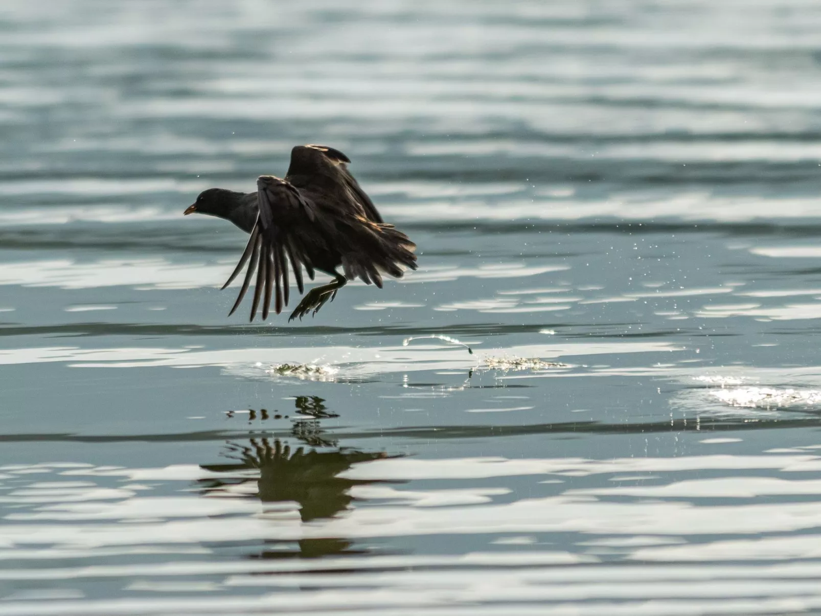Studio-Apartment mit Balkon mit Seeblick und Zugang zum Garten-Image-tags.info