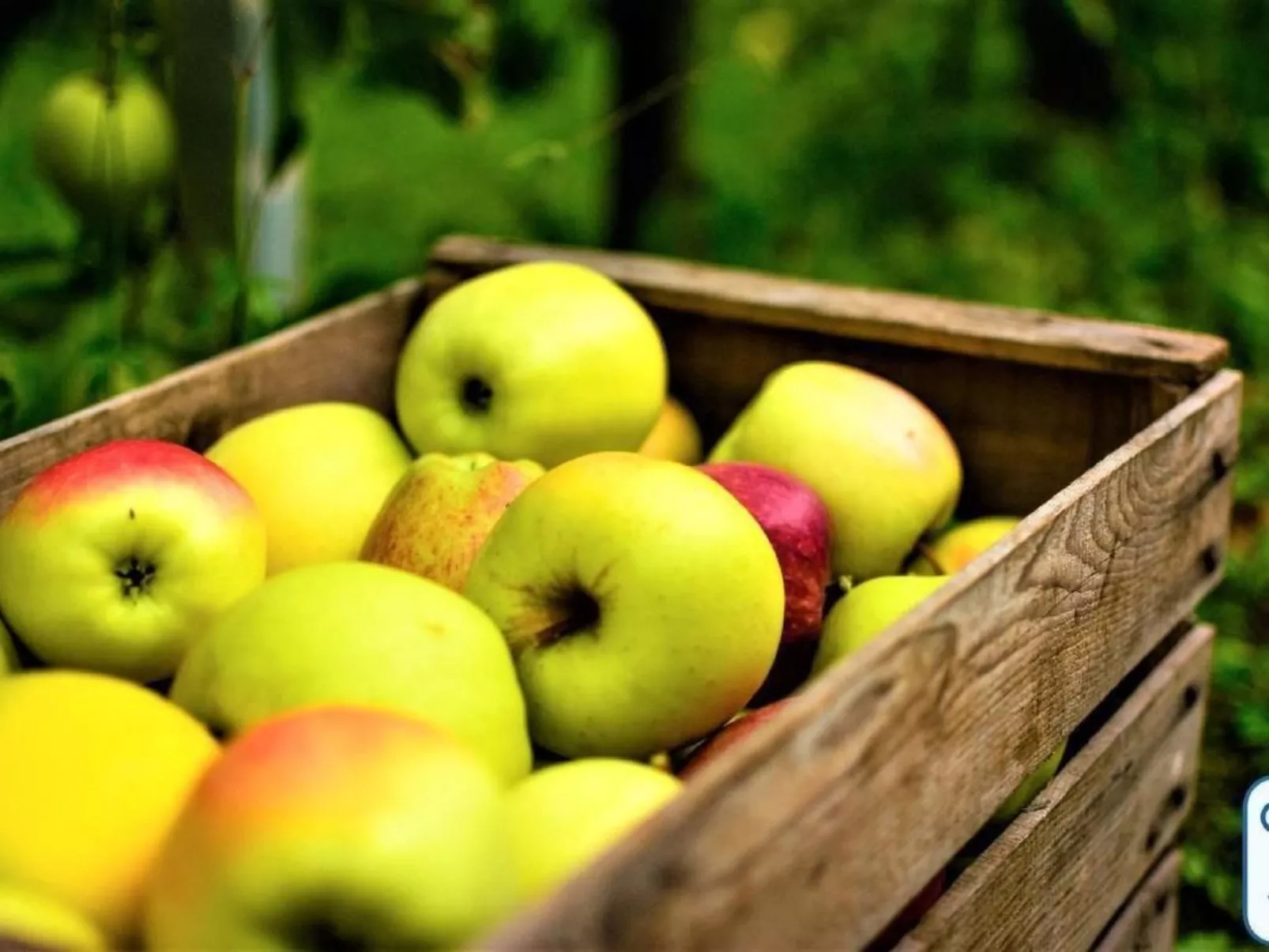 'Antico Eremo'-Image-tags.info