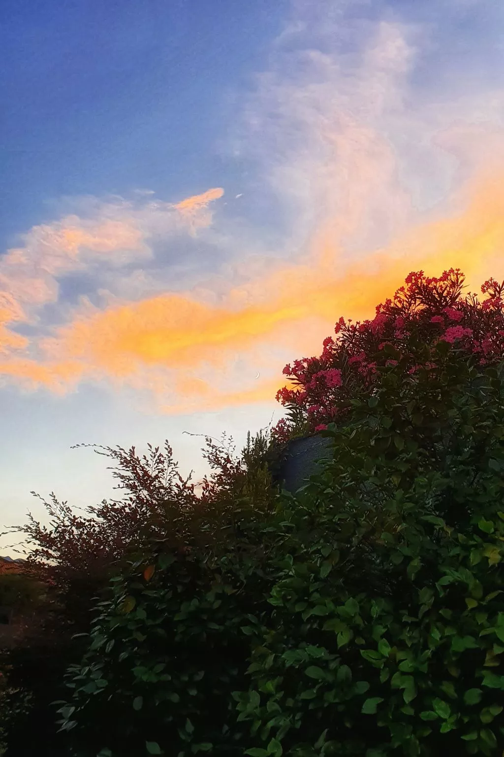 Wohnung mit Privatparkplatz und schöner Aussicht-Image-tags.info