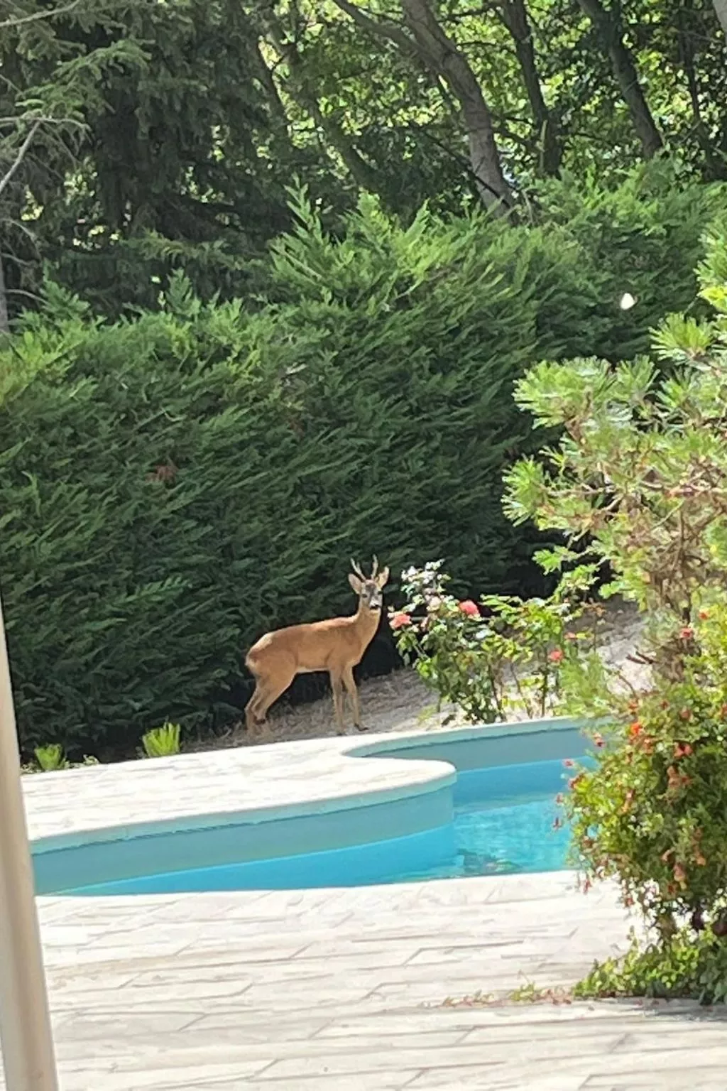 Ferienvilla 'Secret Montegiorgio-Buiten