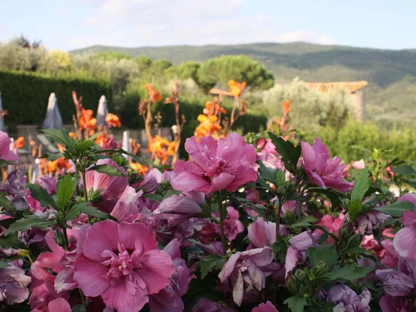 Wohnung 'Romantisches Studio mit Seeblick'-Image-tags.info