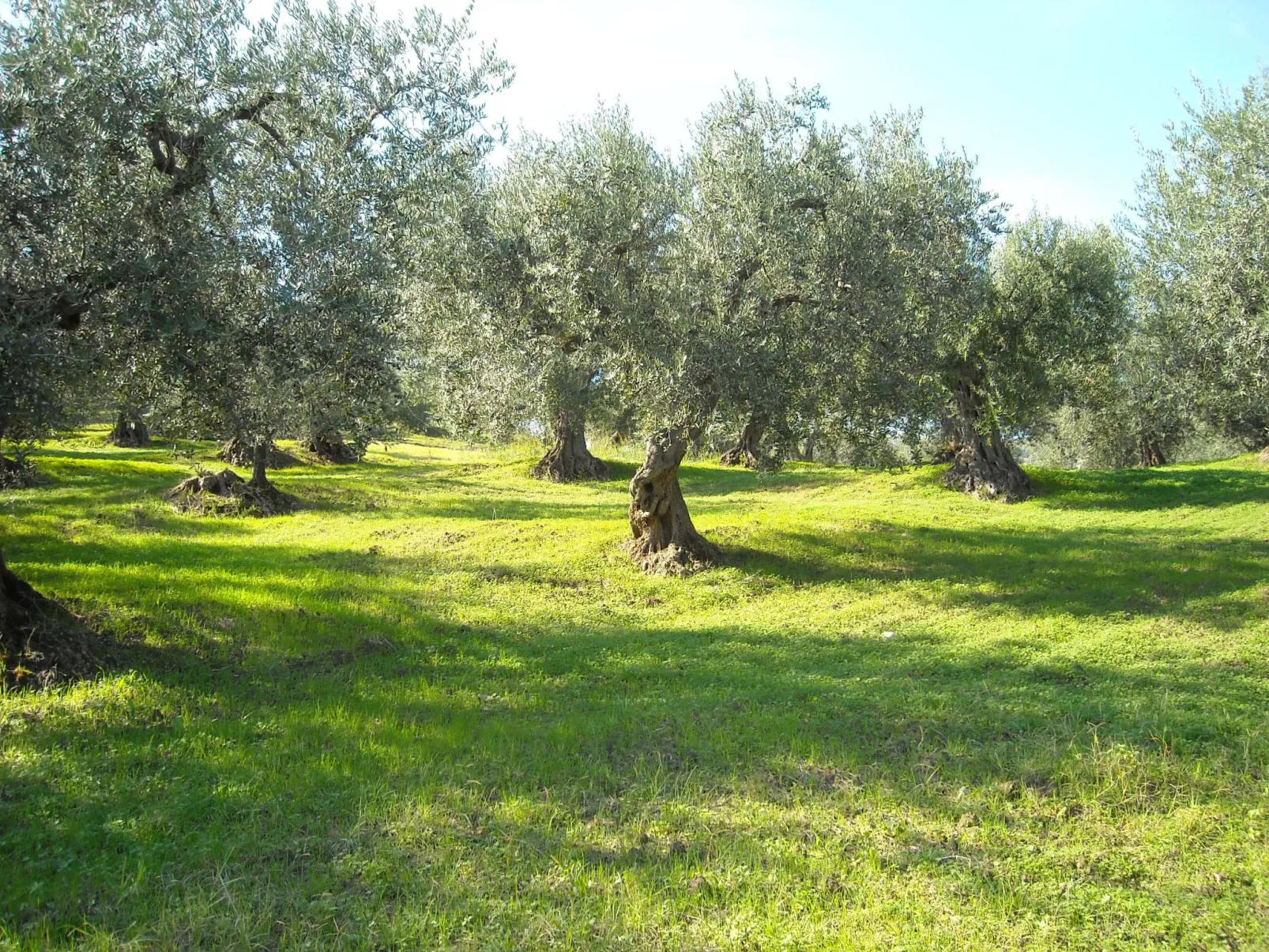 Meisterhaussiedlung mit Schwimmbad-Image-tags.info