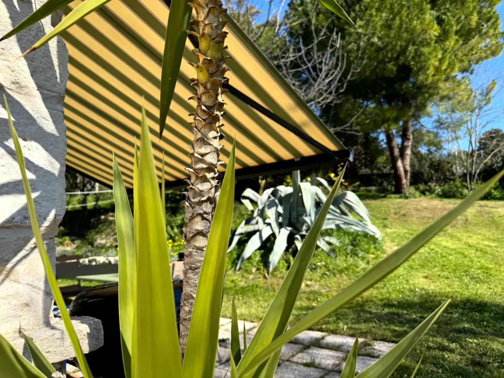 CASA ANCARANO Sirolo-Buiten