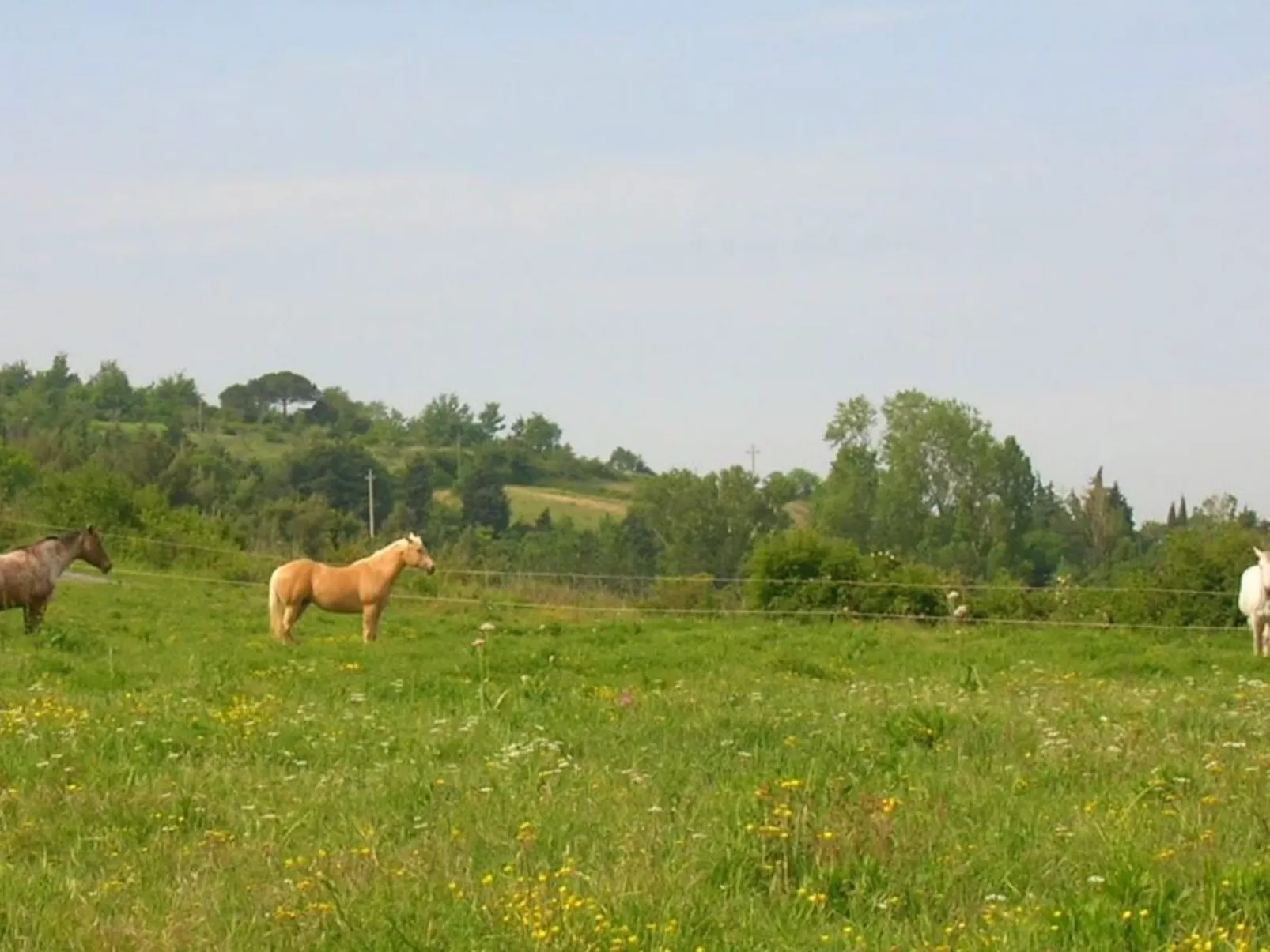 Ein-Zimmer-Wohnung 'Ligoracce-Image-tags.info