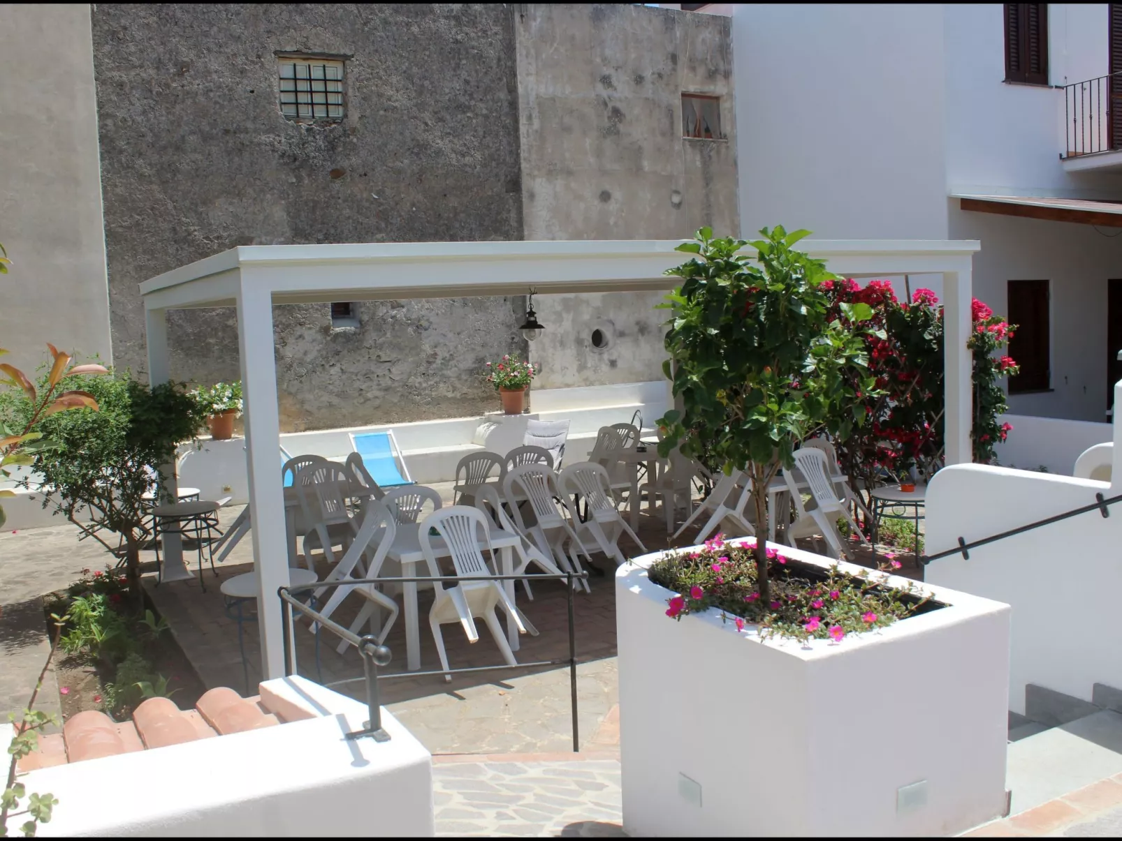 'Camelia ab 236-Image-tags.info