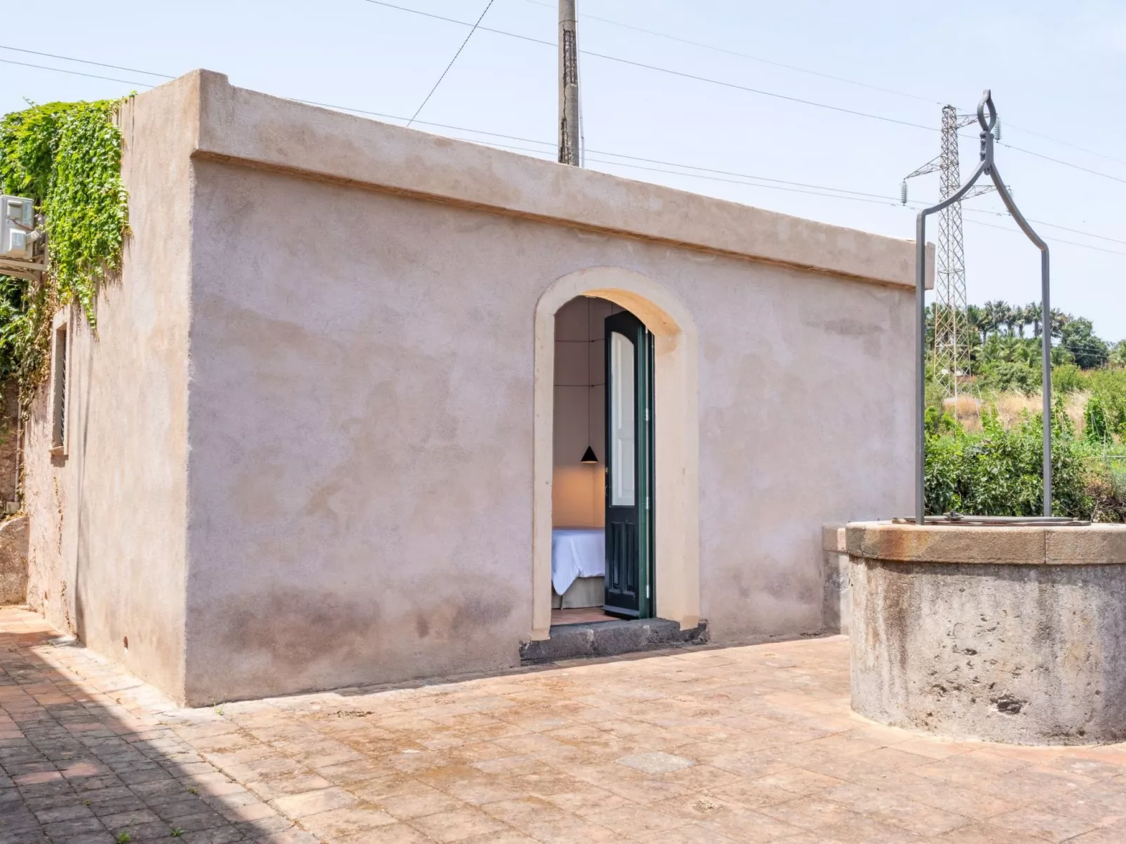 Avocado Garten-Binnen