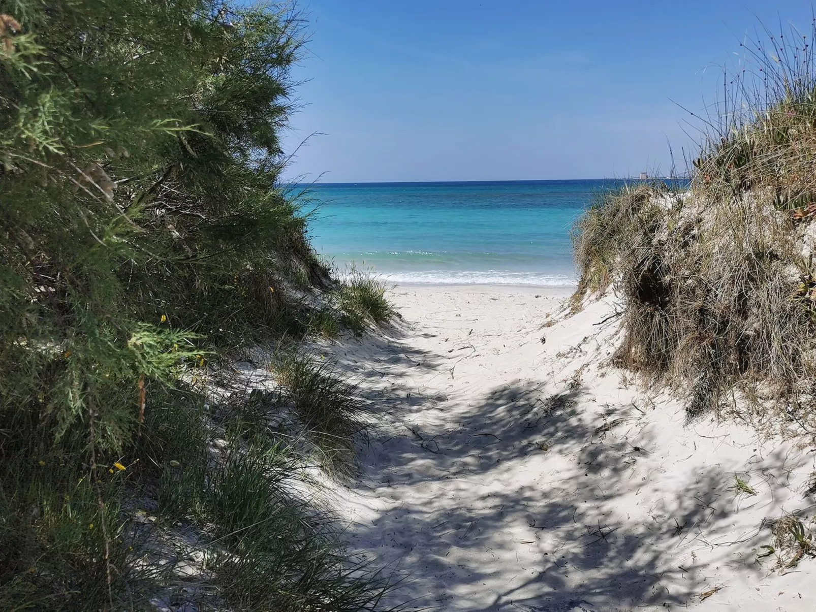 "Garden Suite"-Buiten