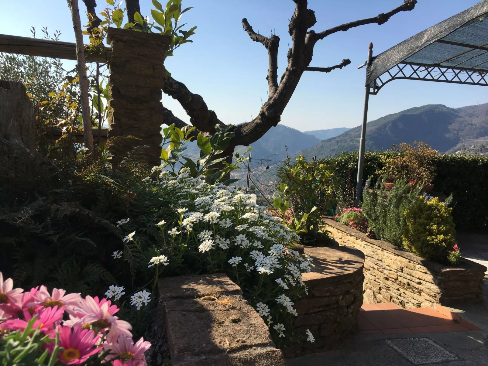 Wohnung 'Gelsomini' mit Meerblick-Binnen