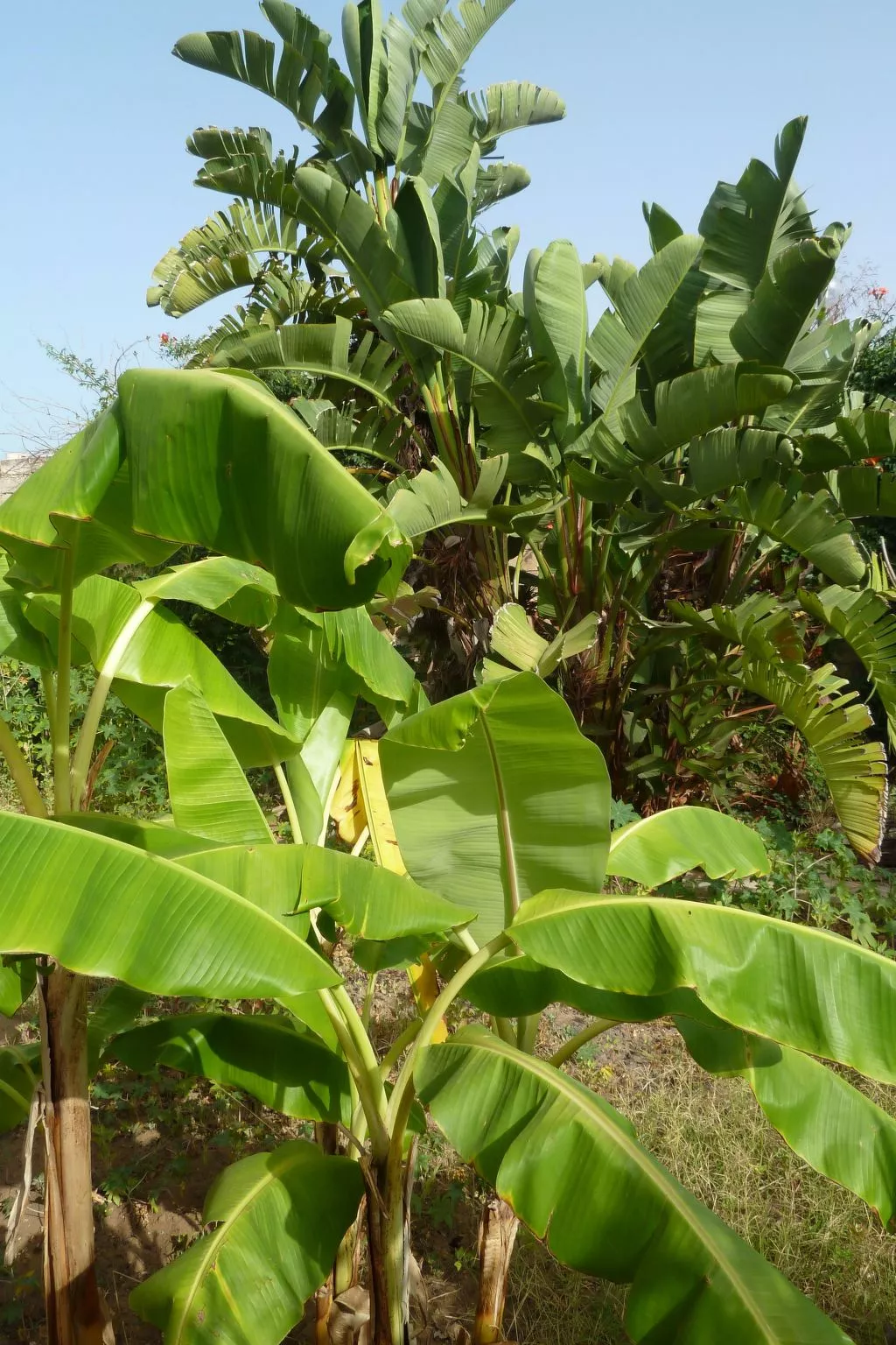 Schöner zentraler Bungalow direkt am Sandstrand auf Sizilien-Binnen