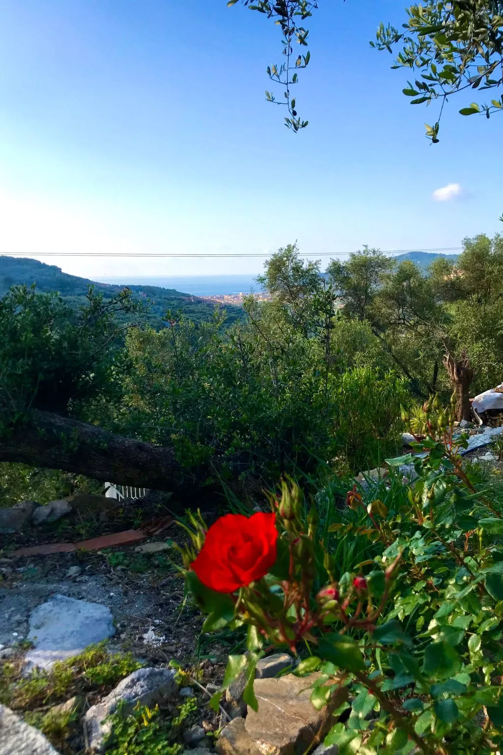 Casa Belvedere-Buiten