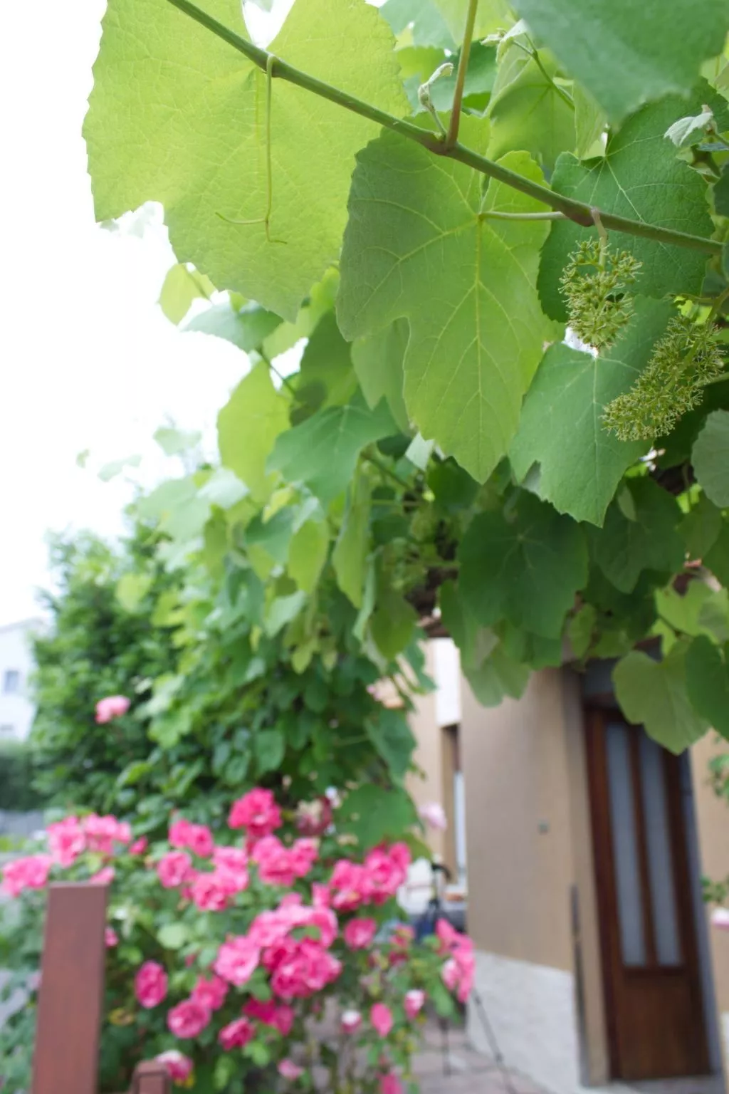 "Casa Natalia 2-Buiten