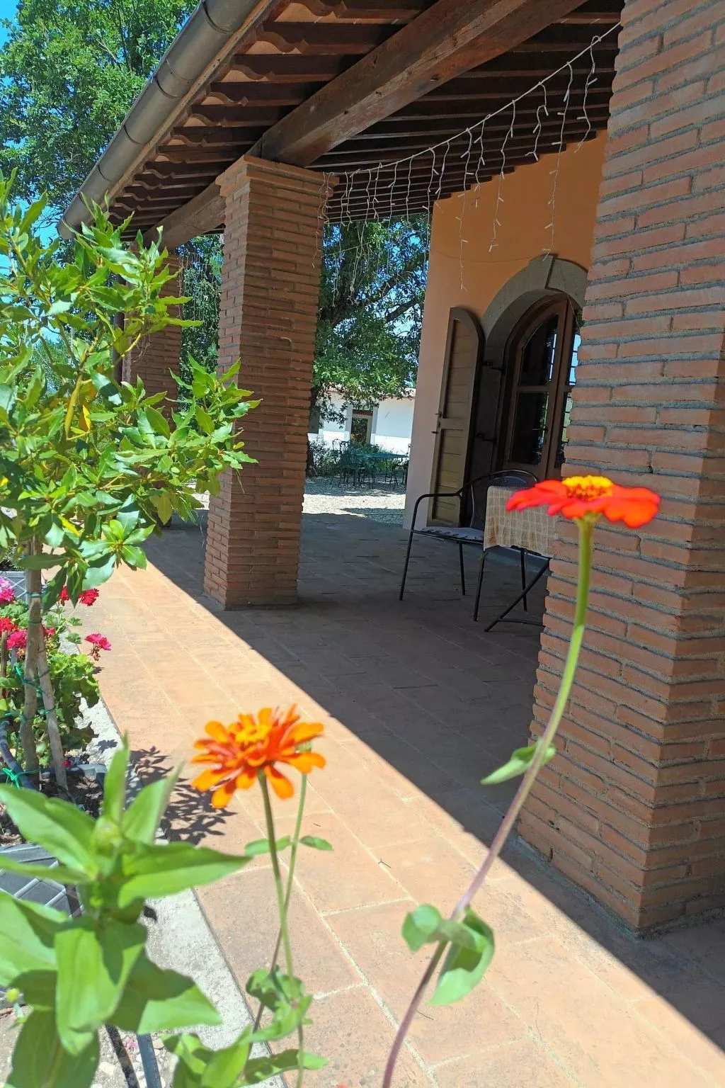 LaPorcilaia, Ferienwohnung mit Seeblick. - Buiten