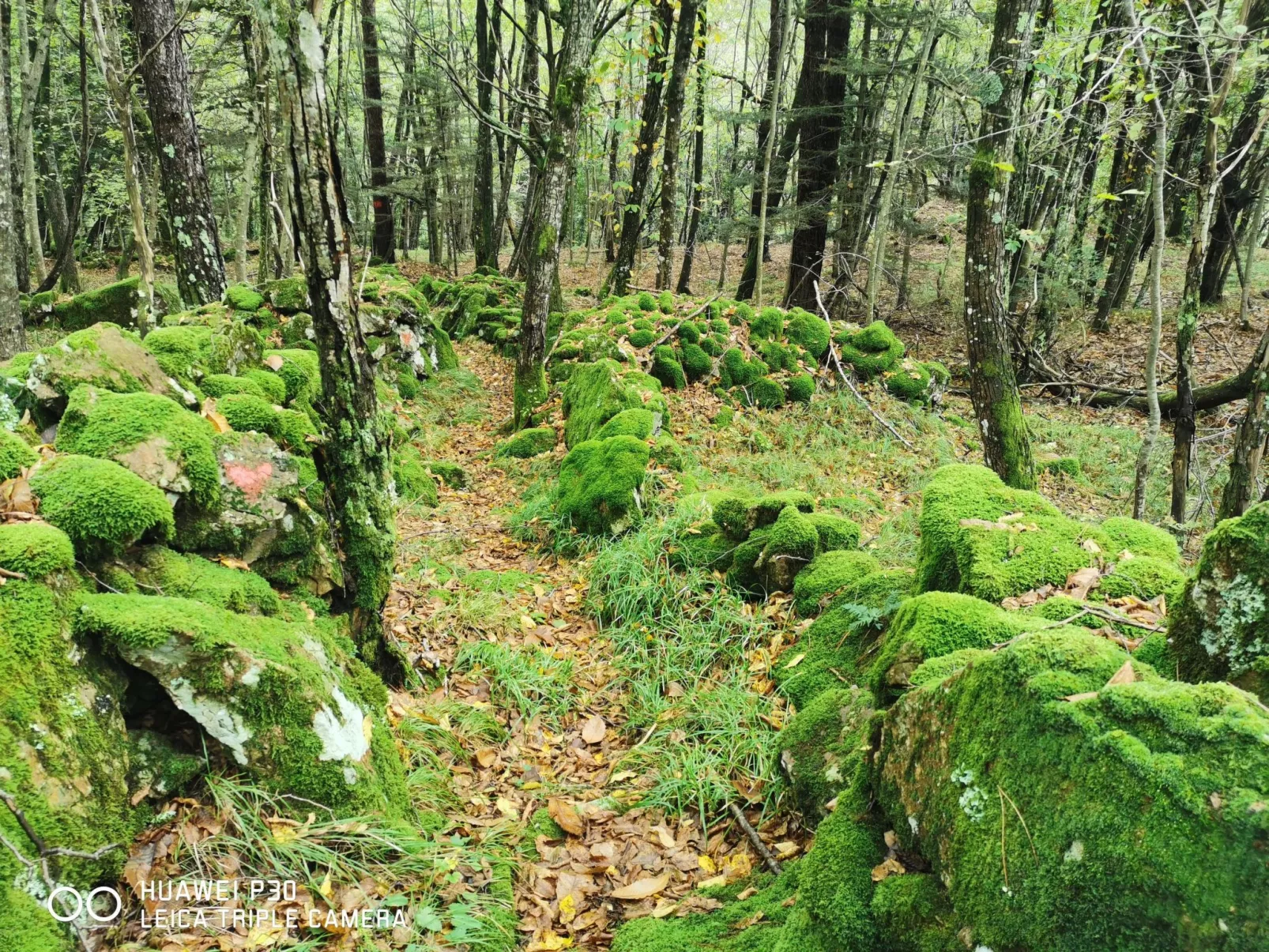 Chalet 'Perle des Höhenweges'-Buiten
