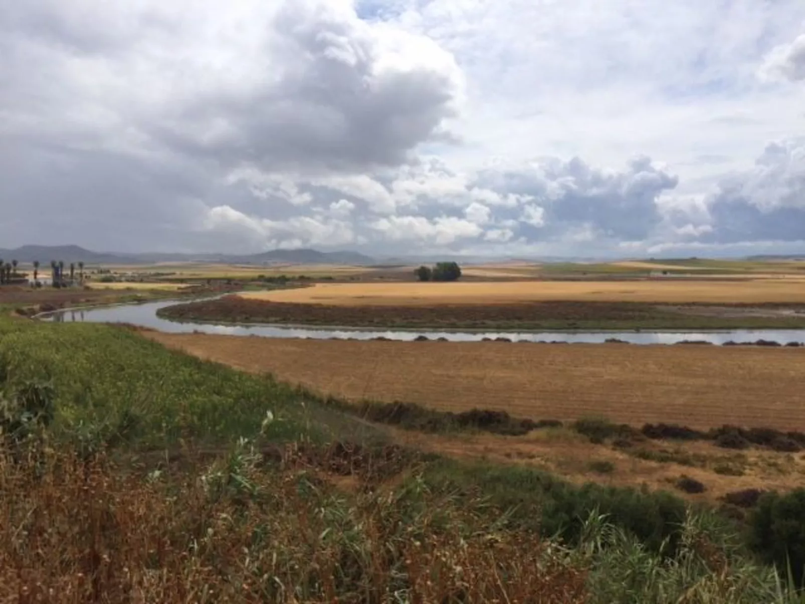 Helle und geräumige Wohnung in Conil-Buiten