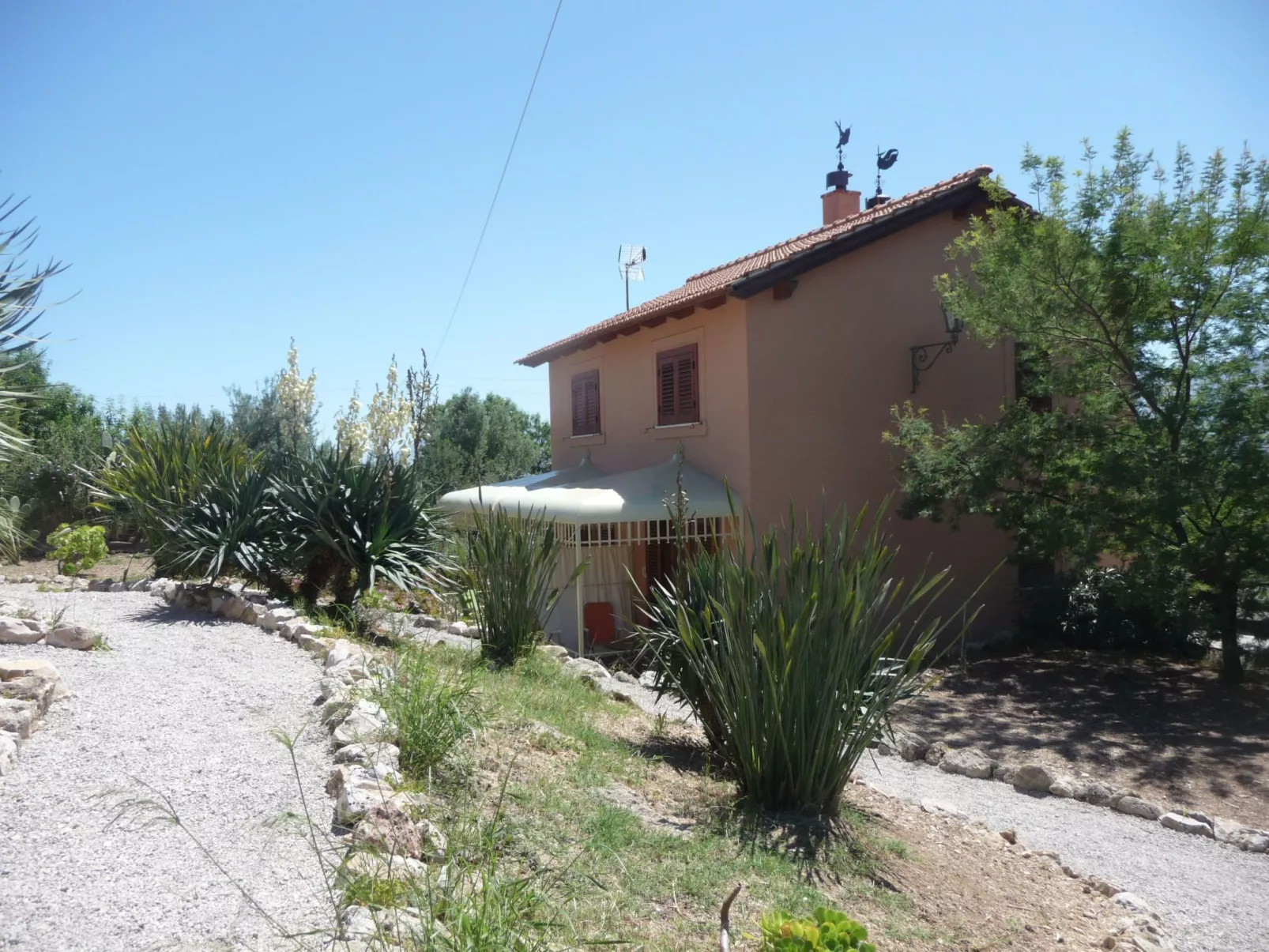 'Suite Fico Nero-Binnen