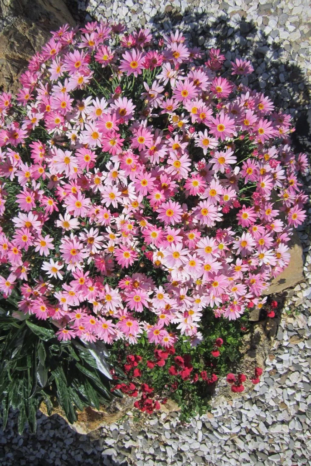 Wohnung mit Wasserblick-Image-tags.info