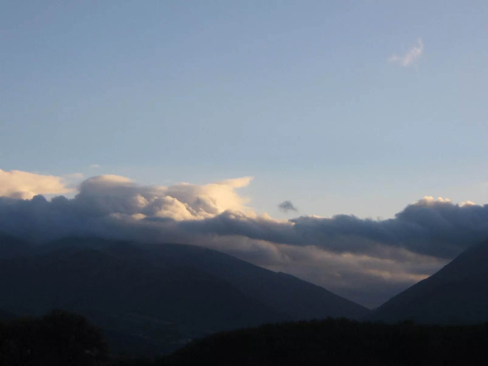 Flacher Flieder-Buiten