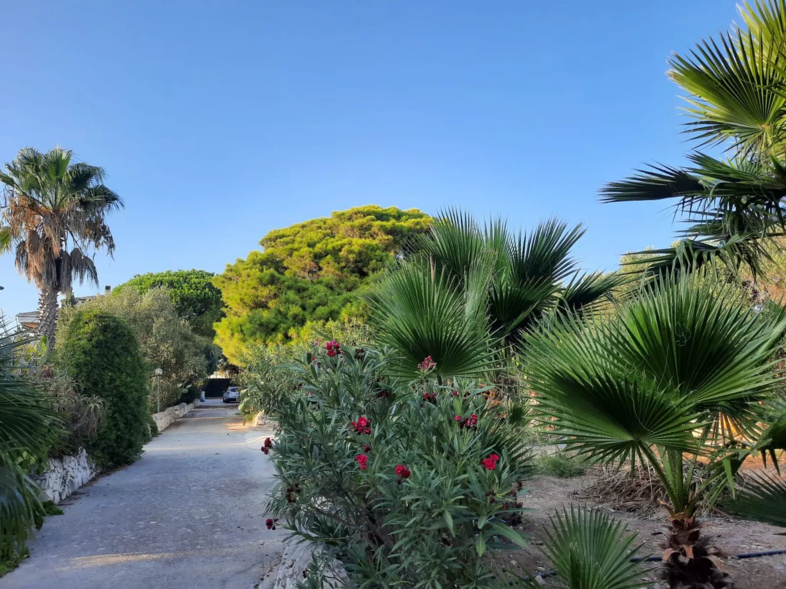Mit grosser Terrasse direkt am Meer-Binnen