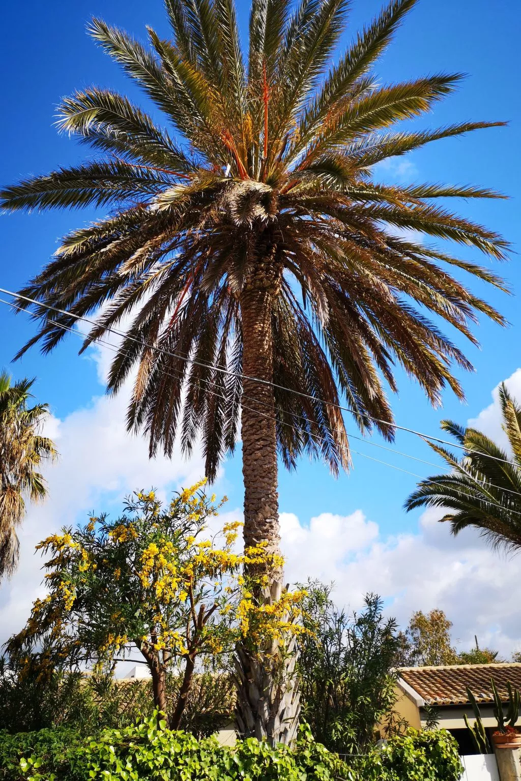 Schöner zentraler Bungalow direkt am Sandstrand auf Sizilien-Binnen