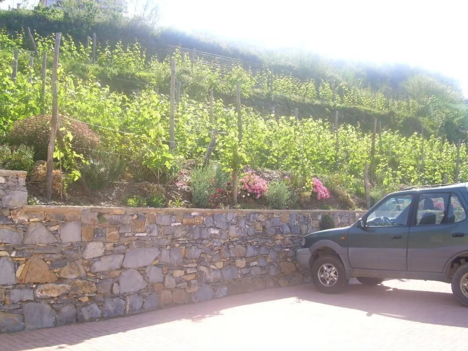 Wohnung mit Terrasse mit Meerblick-Binnen