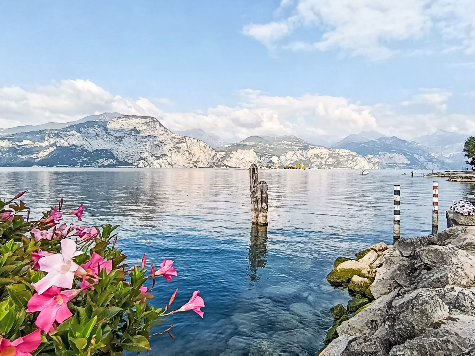 Mit Blick auf das Wasser-Omgeving
