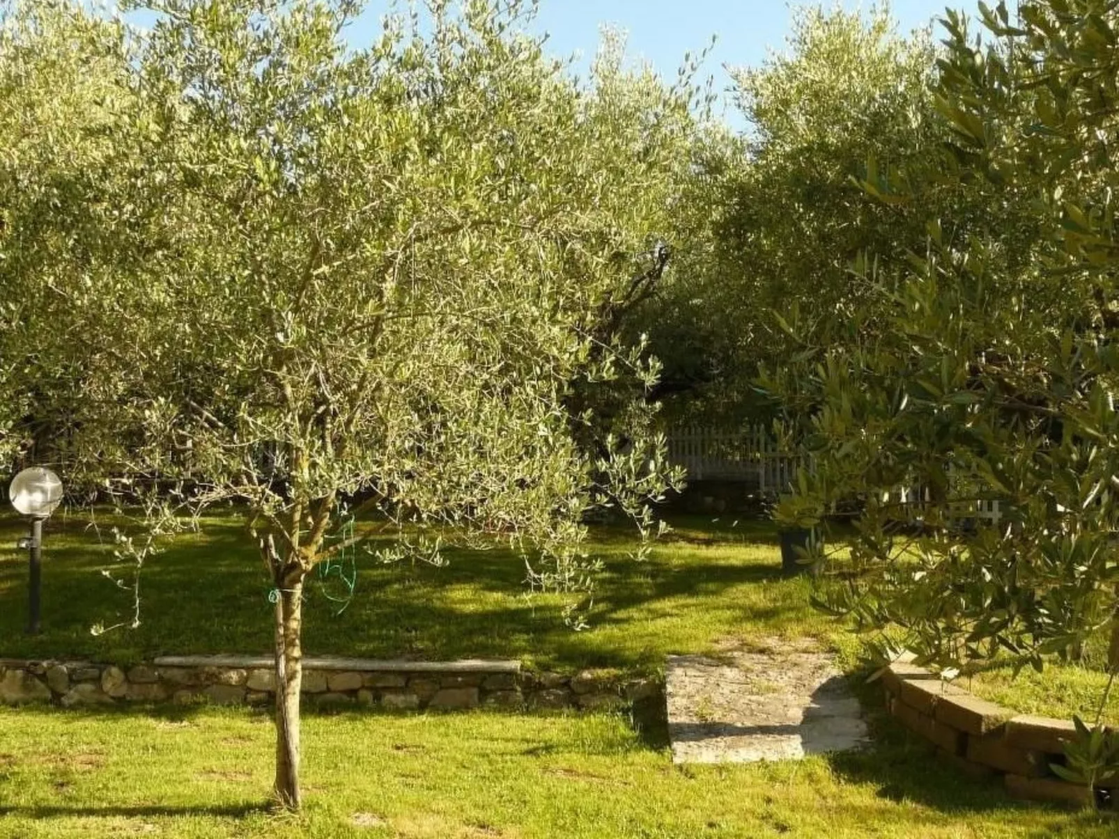 Villa am Gardasee mit großem Pool und Garten-Buiten