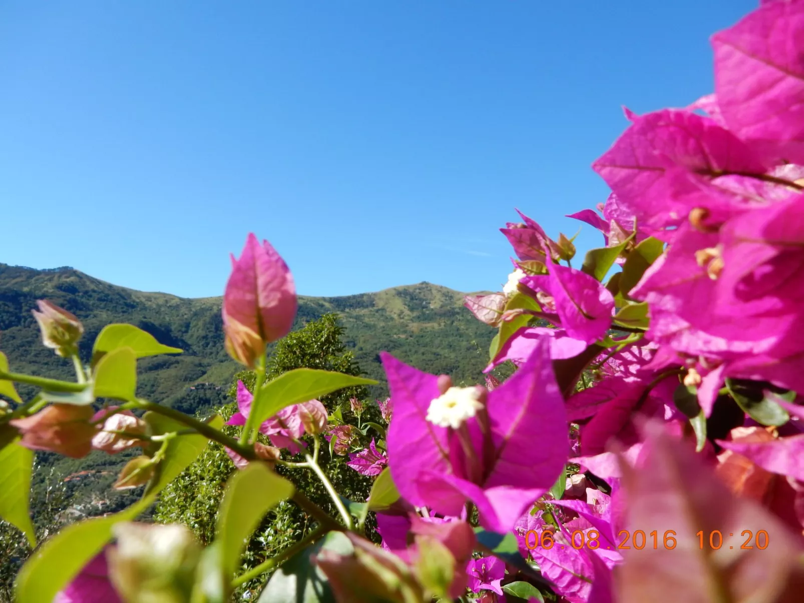 Schönes Ferienhaus mit Garten und Whirlpool-Buiten
