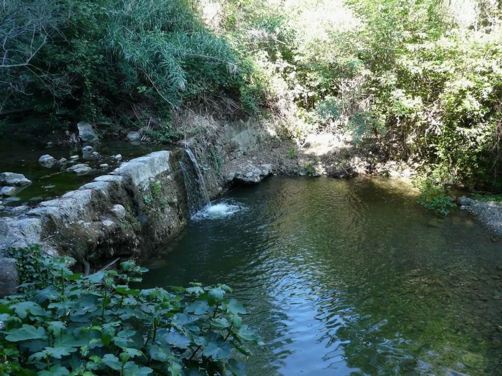 Molino Trilo 5-Buiten