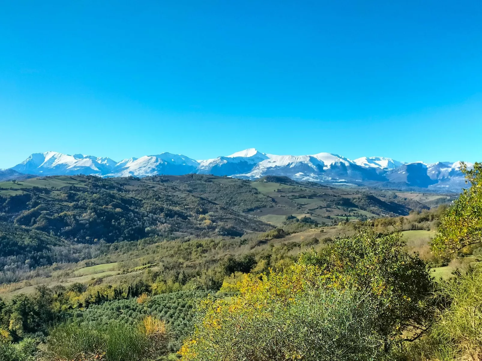 Charmante Wohnung, einzigartiges Panorama-Binnen