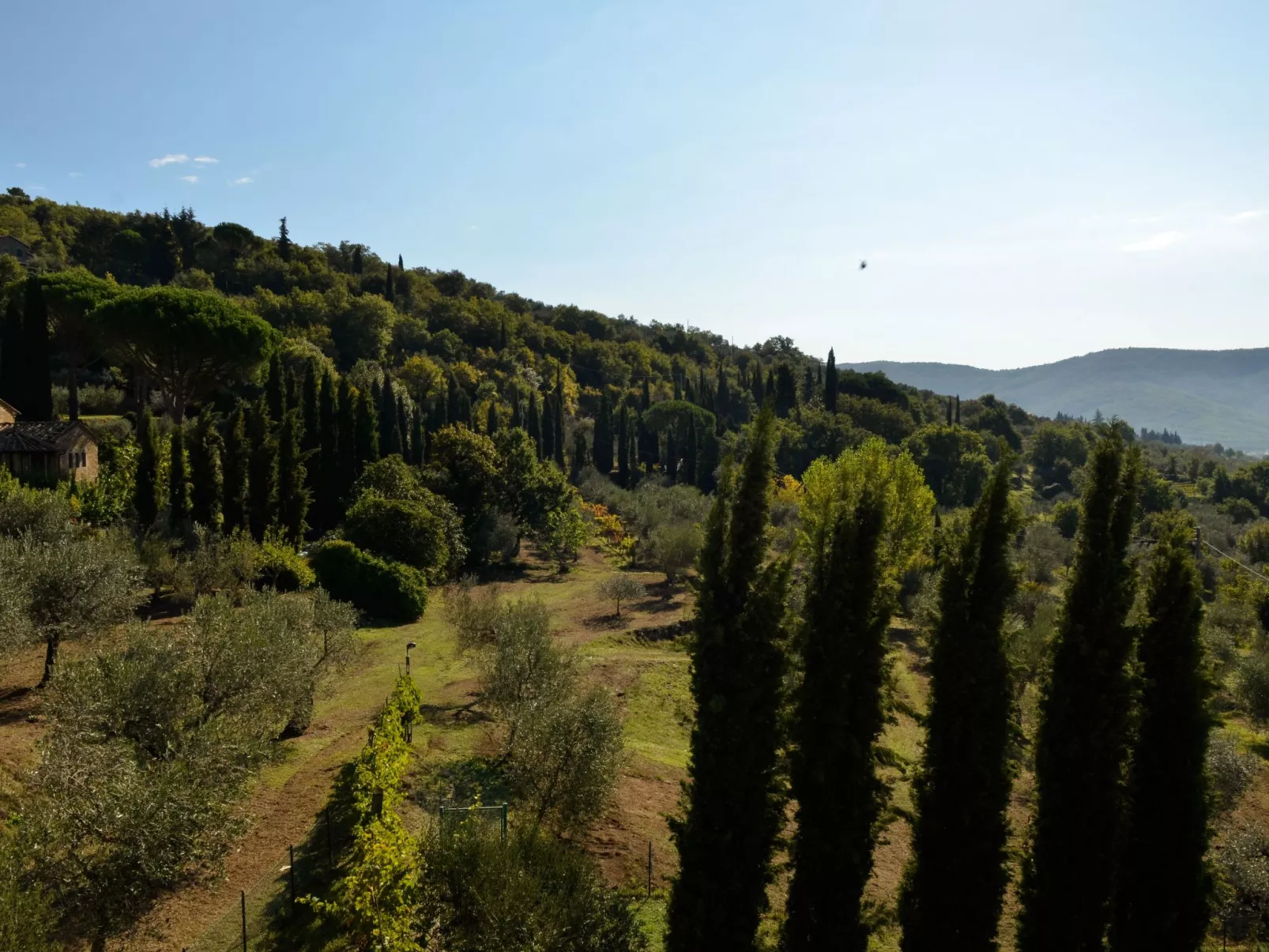 Villa Eugenio-Buiten