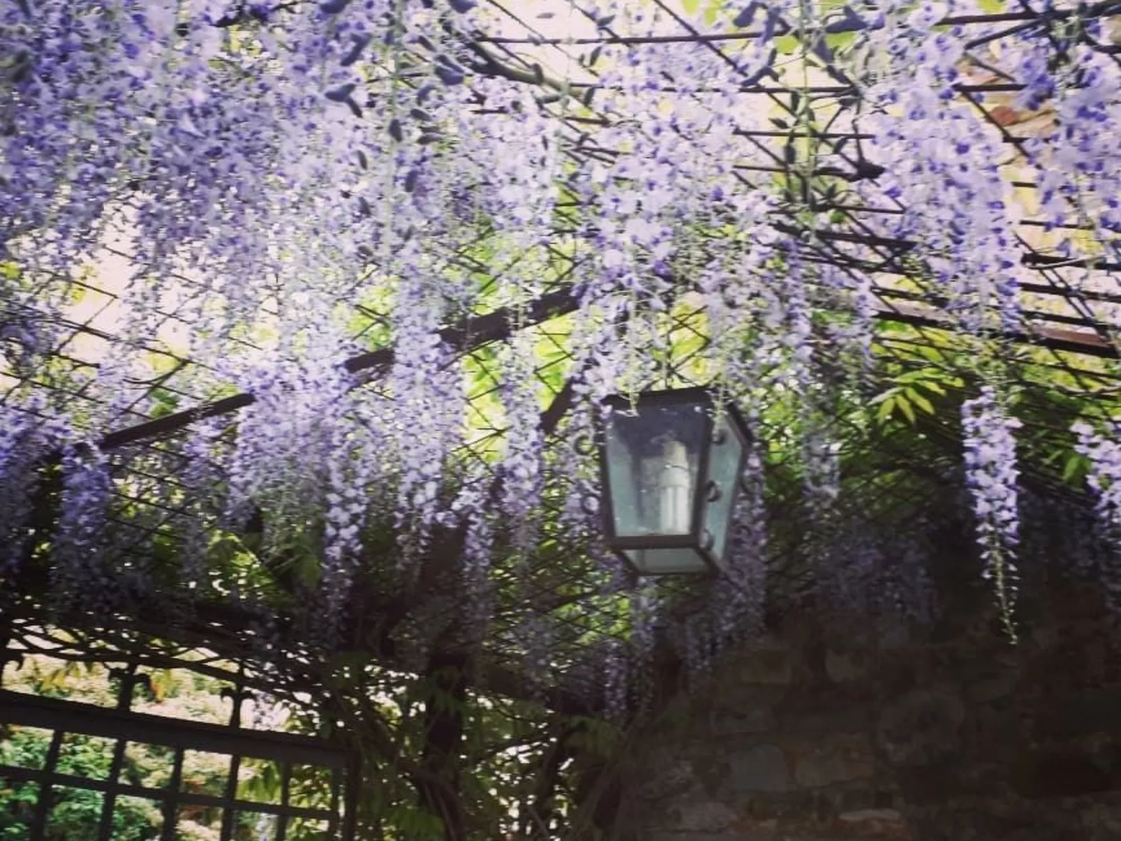 Landgut "Il Molino" mit Terrasse und Garten-Buiten